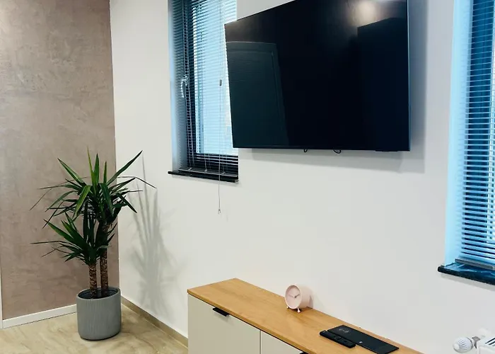 Richy Boutique 3* Brasov