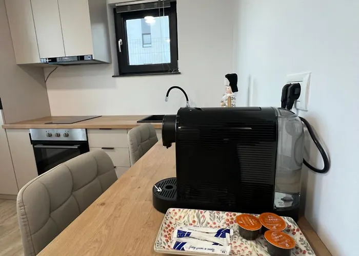 Guest house Richy Boutique Brasov