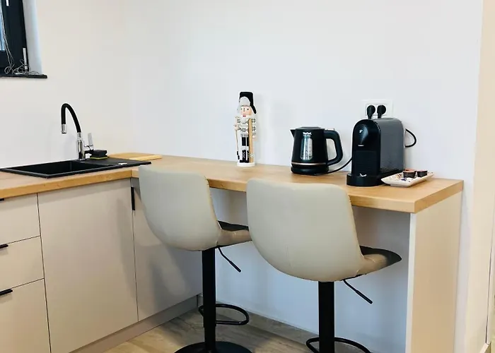 Guest house Richy Boutique Brasov